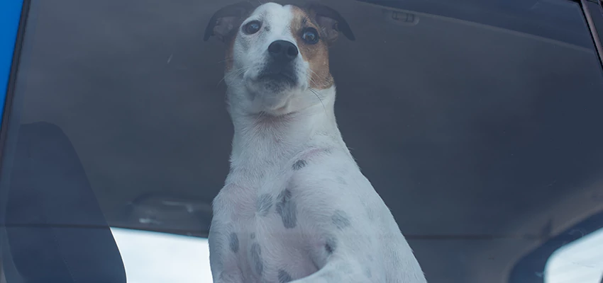 Car Lockout Solutions in Compton, California